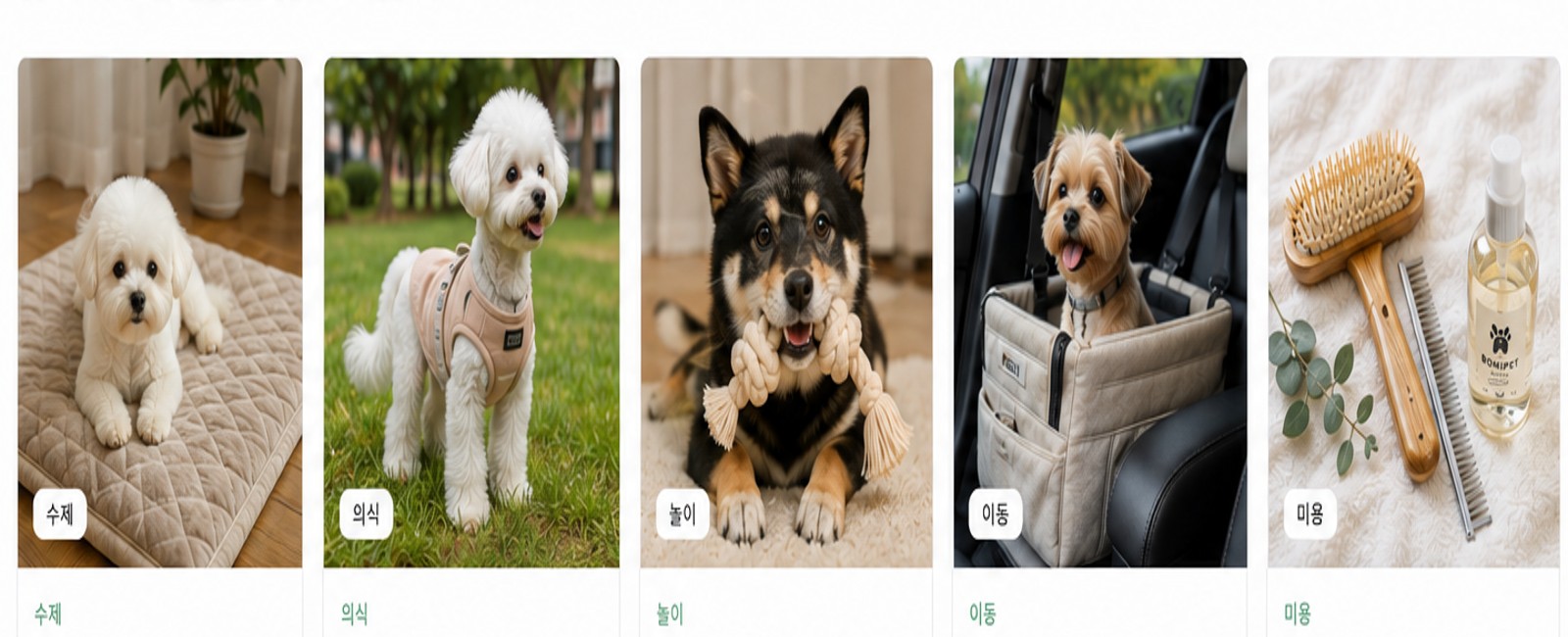 따뜻한 집 안에서 함께 쉬는 강아지와 고양이 일러스트
